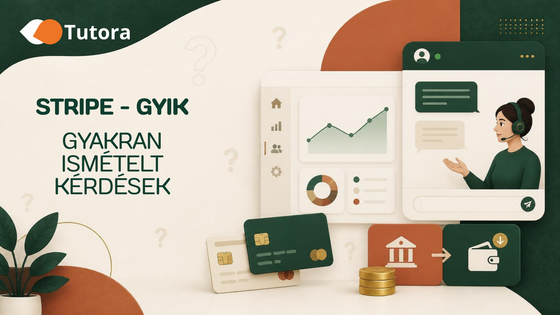 Stripe fizetési felület egy szakértő kifizetési beállításaival.
